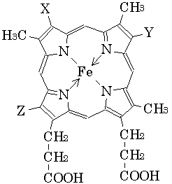 heme