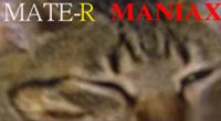 MATE-R MANIAX